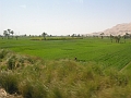 12 02 13_Egypt_1011